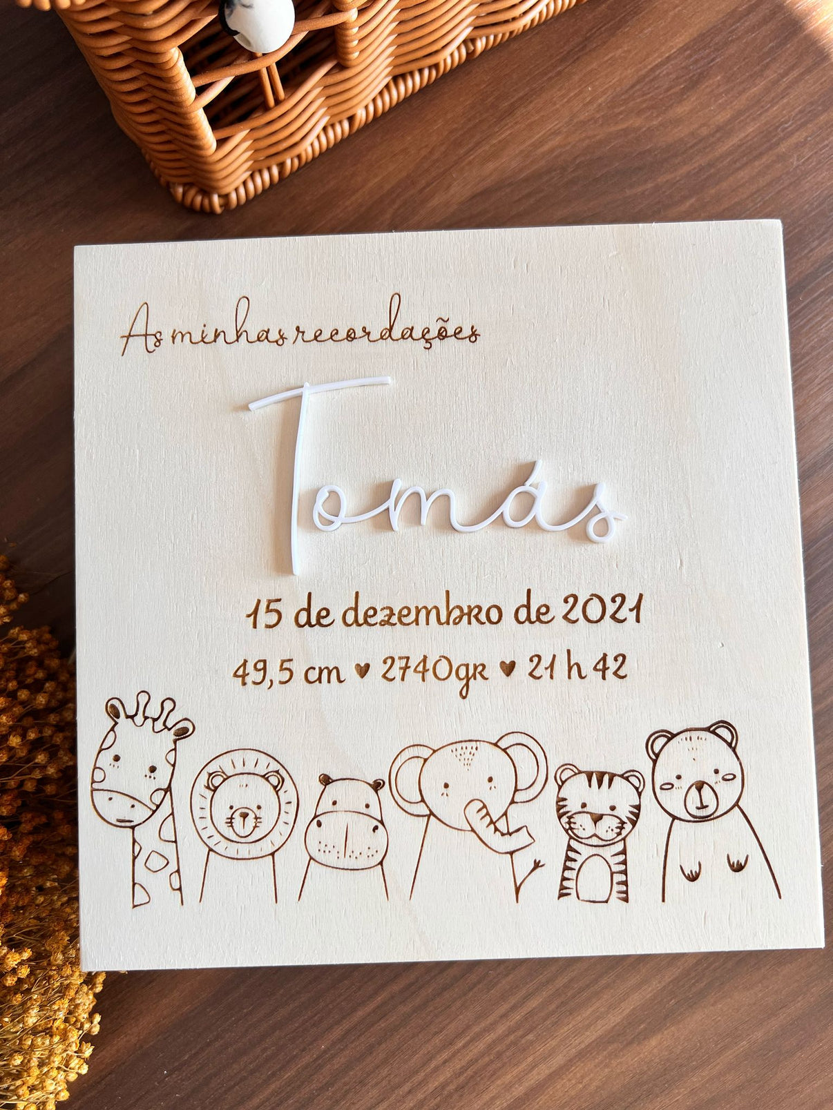 Caixa de Recordações - Animais